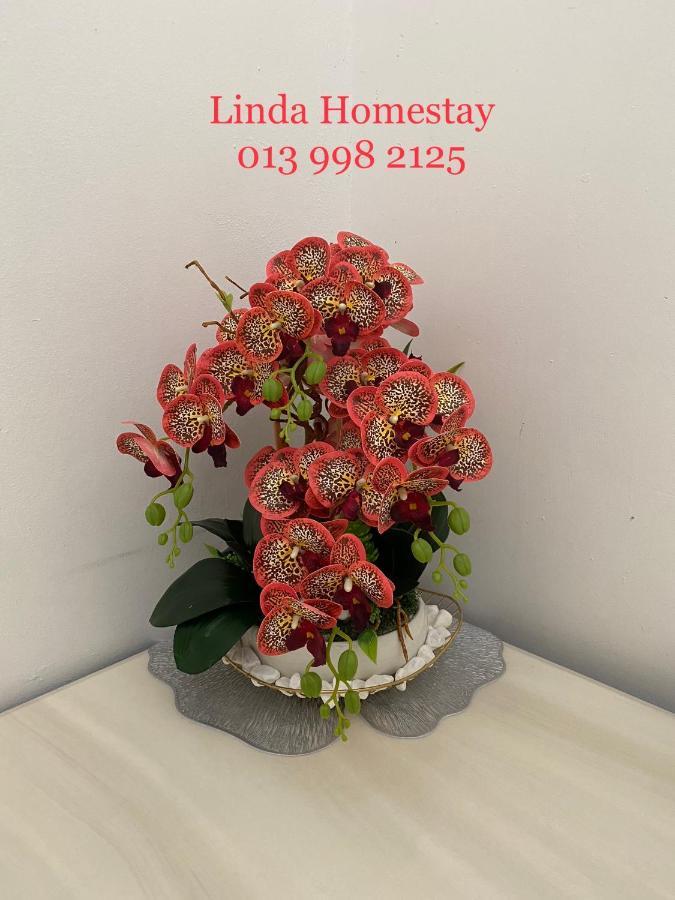 Linda Homestay Bandar Utama Gua Musang Luaran gambar